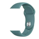 Apple Watch 42mm Xpez Classic Band Green